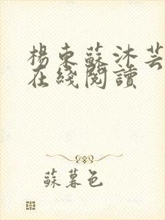 杨东苏沐芸小说在线阅读