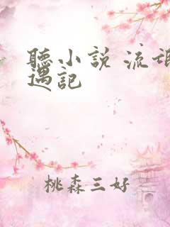 听小说 流氓艳遇记