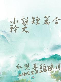 小说短篇合集高干文