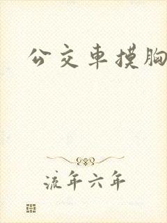 公交车摸胸视频