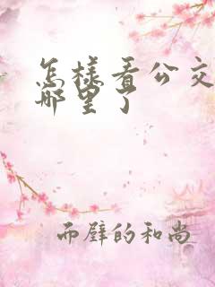 怎样看公交车到哪里了