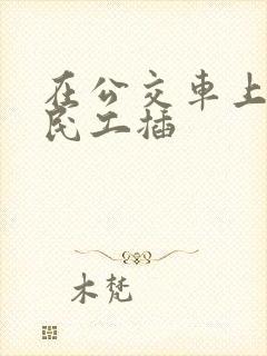 在公交车上被农民工插