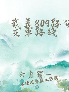 武义809路公交车路线