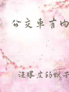 公交车有肉小说