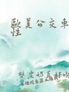 欧美公交车一级性