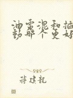 油电混和插电混动哪个更好