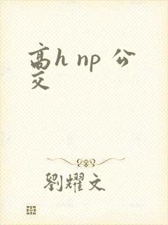 高h np 公交