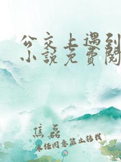 公交上遇到张姨小说免费阅读