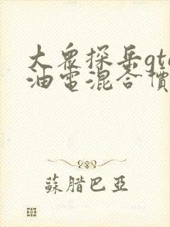 大众探岳gte油电混合价格