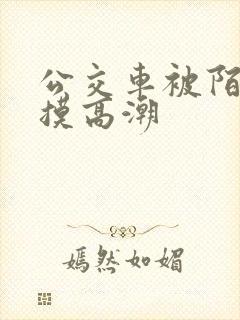 公交车被陌生人摸高潮