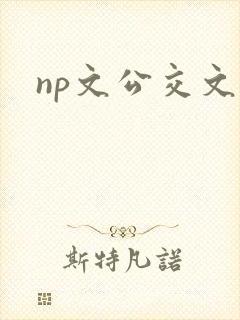 np文公交文