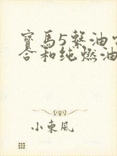 宝马5系油电混合和纯燃油哪个好