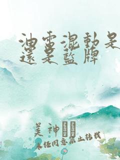 油电混动是绿牌还是蓝牌