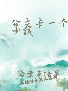 公交卡一个月多少钱