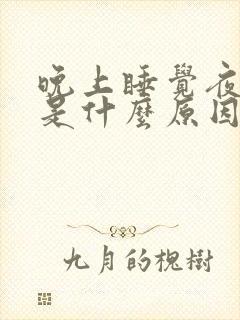 晚上睡觉夜尿多是什么原因