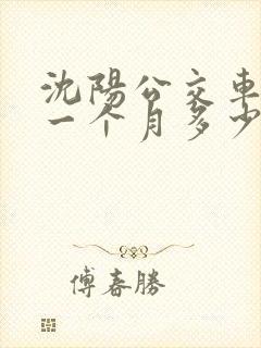 沈阳公交车司机一个月多少钱工资