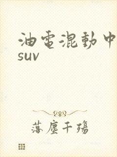 油电混动中大型suv