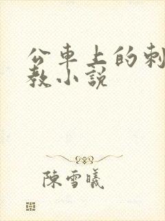 公车上的刺激调教小说