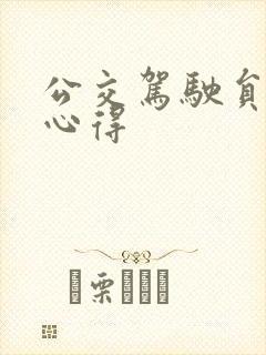 公交驾驶员个人心得