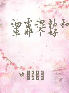 油电混动和纯电车哪个好
