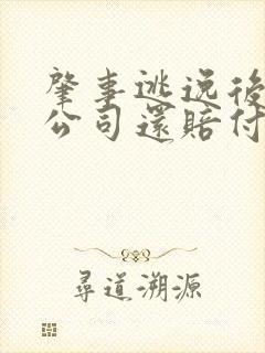 肇事逃逸后保险公司还赔付吗