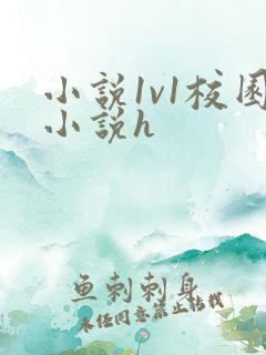 小说1v1校园小说h