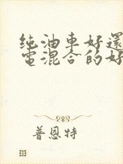 纯油车好还是油电混合的好