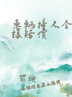 车辆撞人全责怎样赔偿