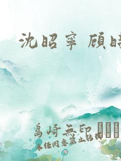 沈昭宁 顾时夜