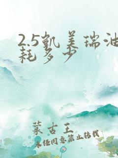 2.5凯美瑞油耗多少