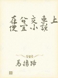 在公交车上被占便宜小说