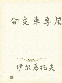 公交车专用车道