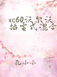 xc60沃尔沃插电式混合动力