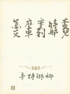 怎么实时查看公交车到哪儿了