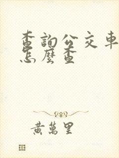 查询公交车时间怎么查
