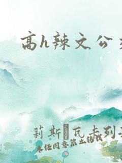 高h辣文公交