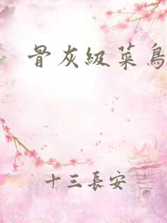 骨灰级菜鸟