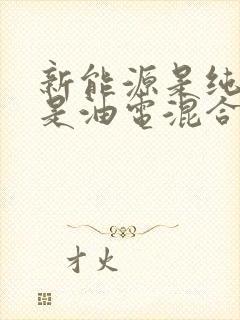 新能源是纯电还是油电混合