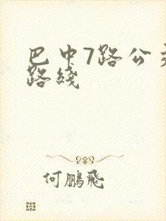 巴中7路公交车路线