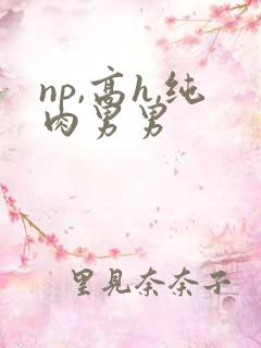 np,高h,纯肉男男