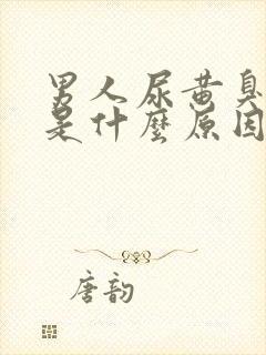 男人尿黄臭味大是什么原因