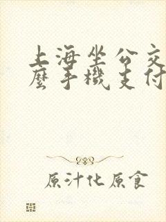 上海坐公交车怎么手机支付