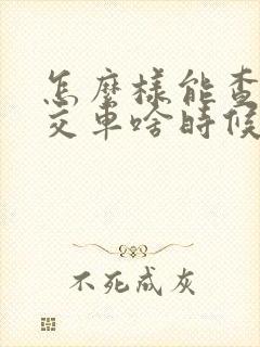 怎么样能查到公交车啥时候到站