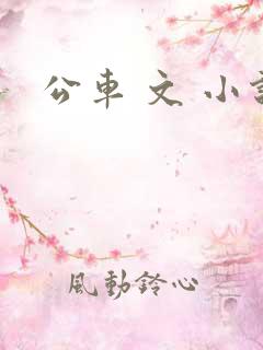 公车 文 小说