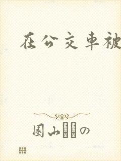 在公交车被强
