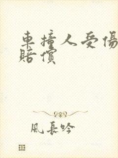 车撞人受伤后的赔偿