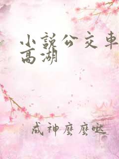 小说公交车被上高湖