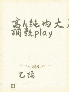 高h纯肉大尺度调教play