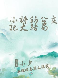 小诗的公交车日记大结局