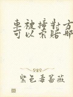 车被撞对方全责可以索赔哪些费用